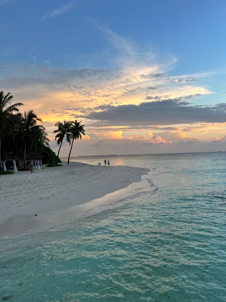 people are walking on the beach in front of some palm trees and water at sunset