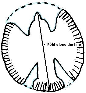 a circle with the words, fold along the line and an arrow pointing up at it