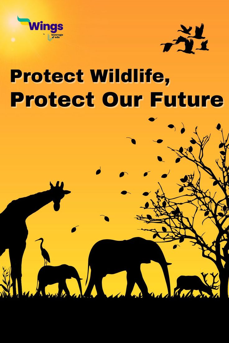 national wildlife day 2023 Wildlife Posters Ideas, Wildlife Poster Drawing, Save Wildlife Poster Ideas, Wildlife Day Poster, National Wildlife Day, Wild Life Conservation Poster, Poster On Wildlife Conservation, Animals And Their Habitats, Nature Club