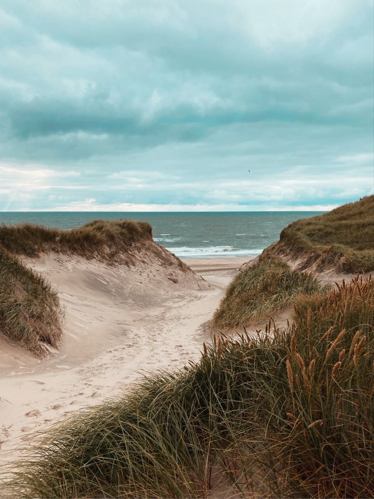 an empty beach with grass and sand dunes in the foreground, under a cloudy sky