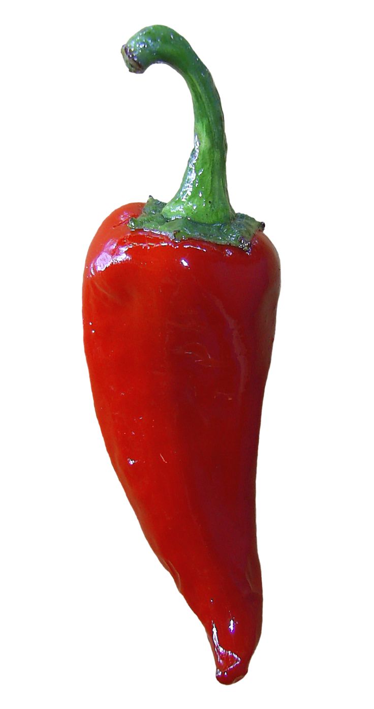 a red pepper is shown on a white background