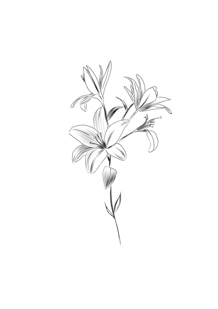 a black and white drawing of flowers on a white background