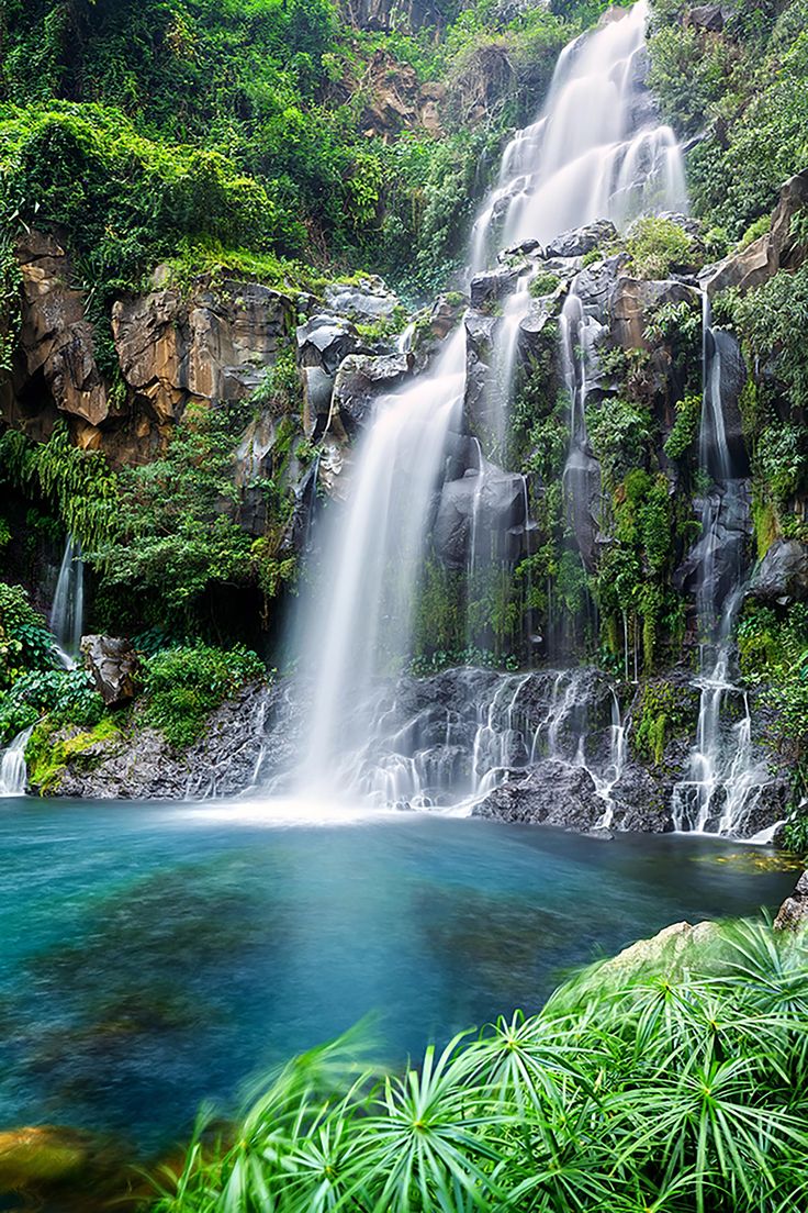 a large waterfall in the middle of a forest filled with lush green trees and plants