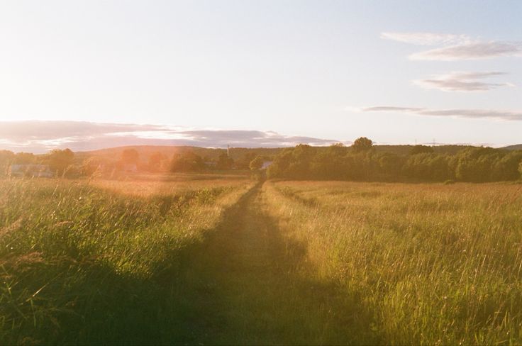 the sun shines brightly on an open field with tall grass and trees in the distance