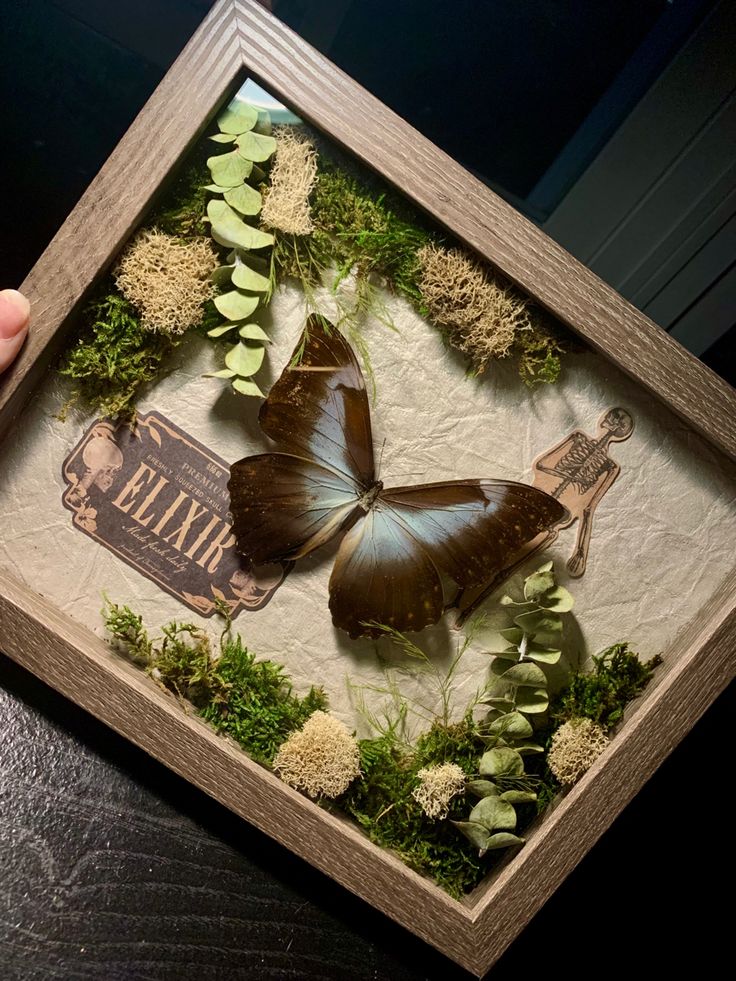 a person holding up a shadow box with two butterflies in it and some flowers on the inside