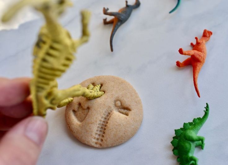 Salt Dough Fossils, Fossil Party, Diy Fossils, Dinosaur Snacks, Dinosaur Crafts Preschool, Afternoon Activities, Dino Christmas, Dinosaur Week, Dinosaur Classroom