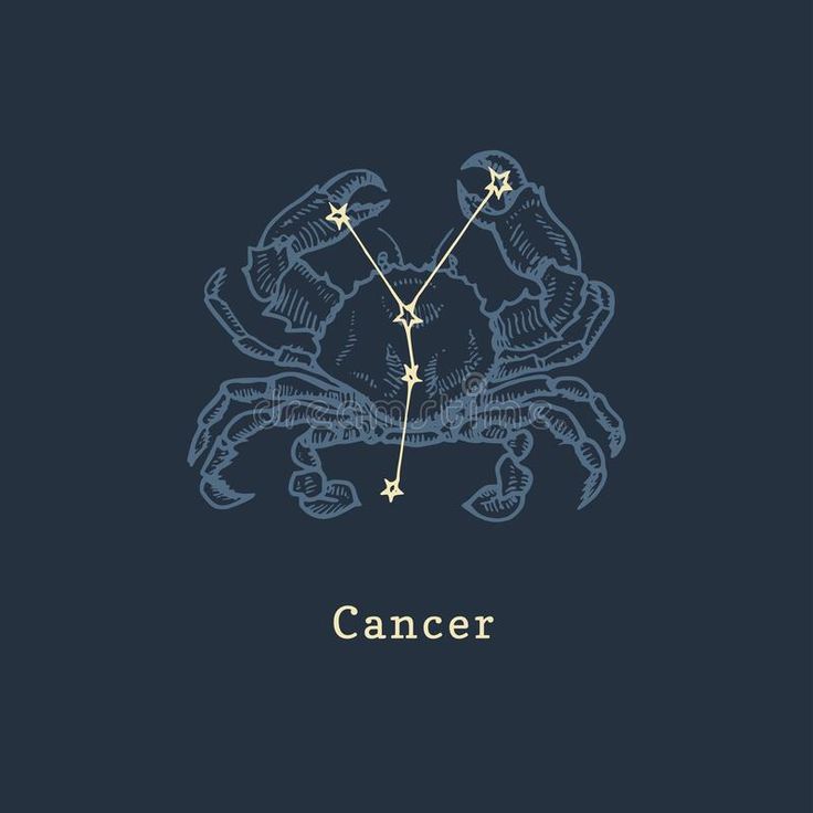 Astrological Sign, Graphic Illustration, Zodiac Sign, Crab, Signs, Stars, Graphic Illustrations