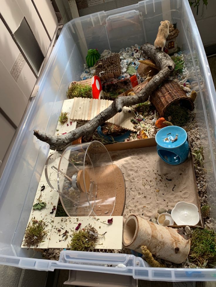 a plastic container filled with lots of different types of plants and animals in it's habitat