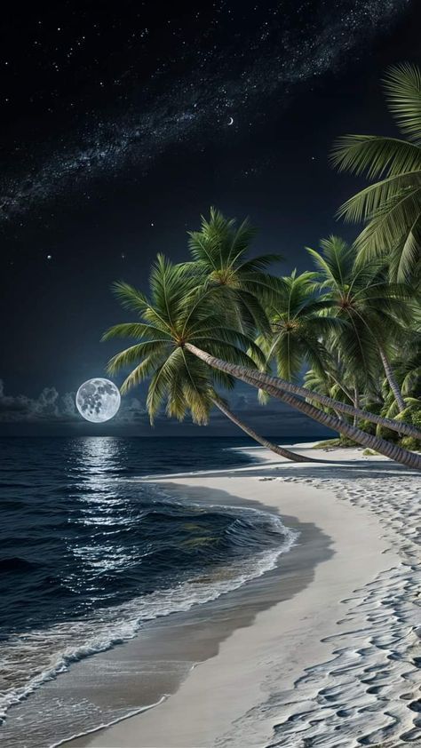 the night sky is full of stars, and there are palm trees on the beach