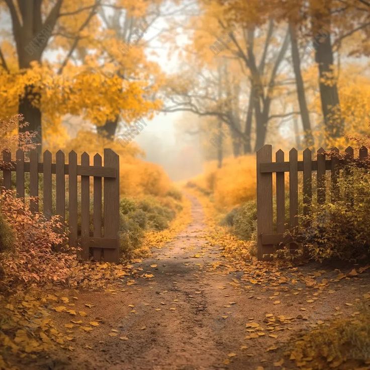 an open gate leading to a dirt path in the middle of a forest filled with yellow leaves