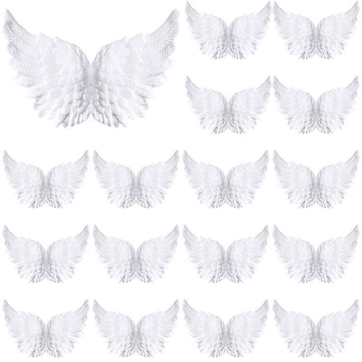 many white wings are arranged in rows on a white background, each with different shapes and sizes