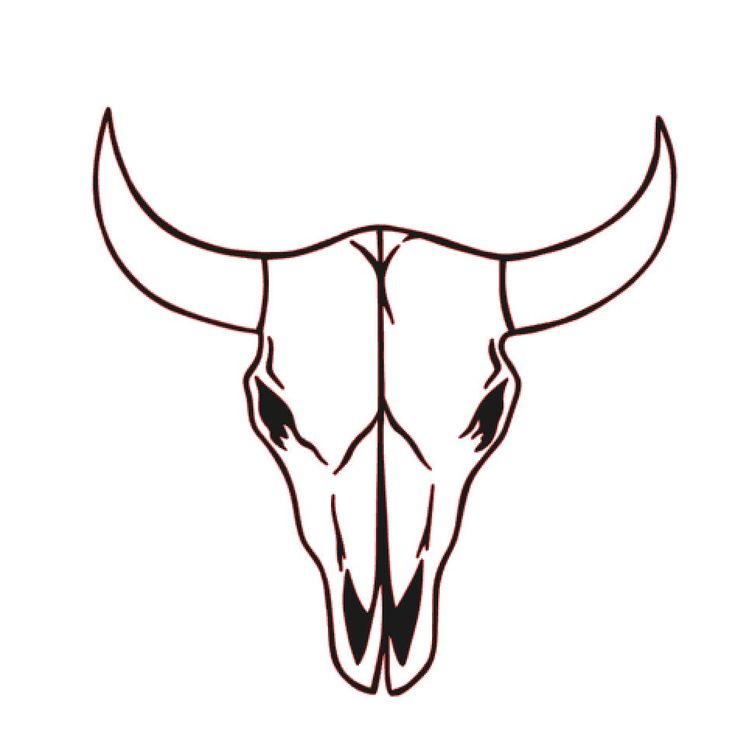 a bull's head with long horns on it