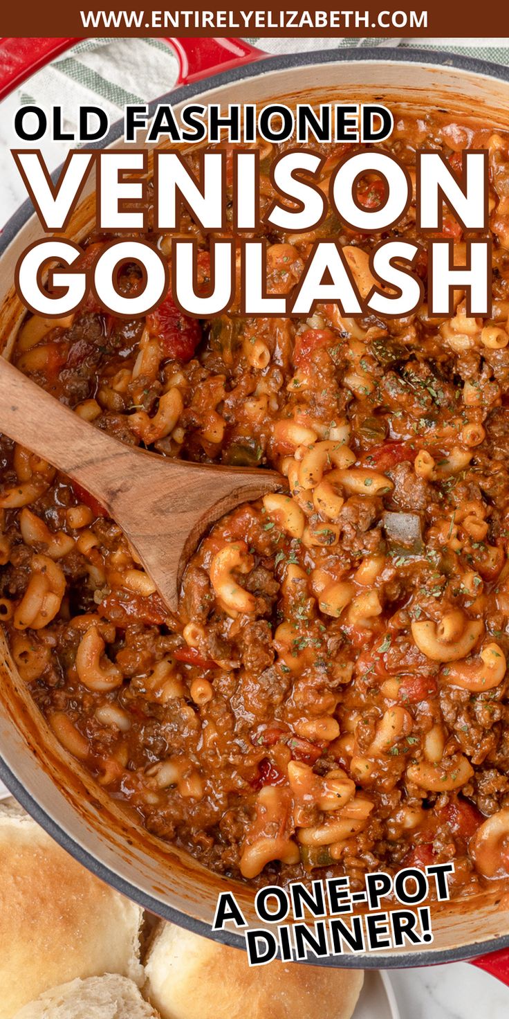 an old fashioned venison goulash in a pot with bread on the side