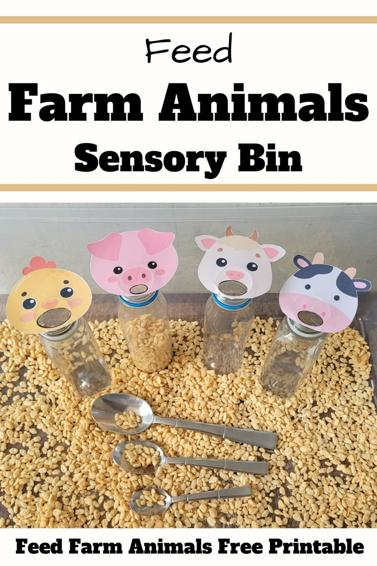 feed farm animals in a bin with spoons and forks on the side, text overlay reads feed farm animals sensory bin