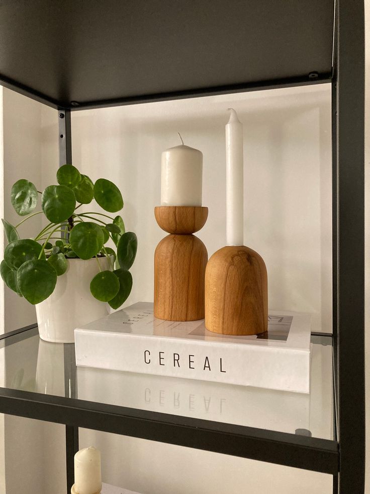 two wooden candles on top of a white book shelf next to a potted plant