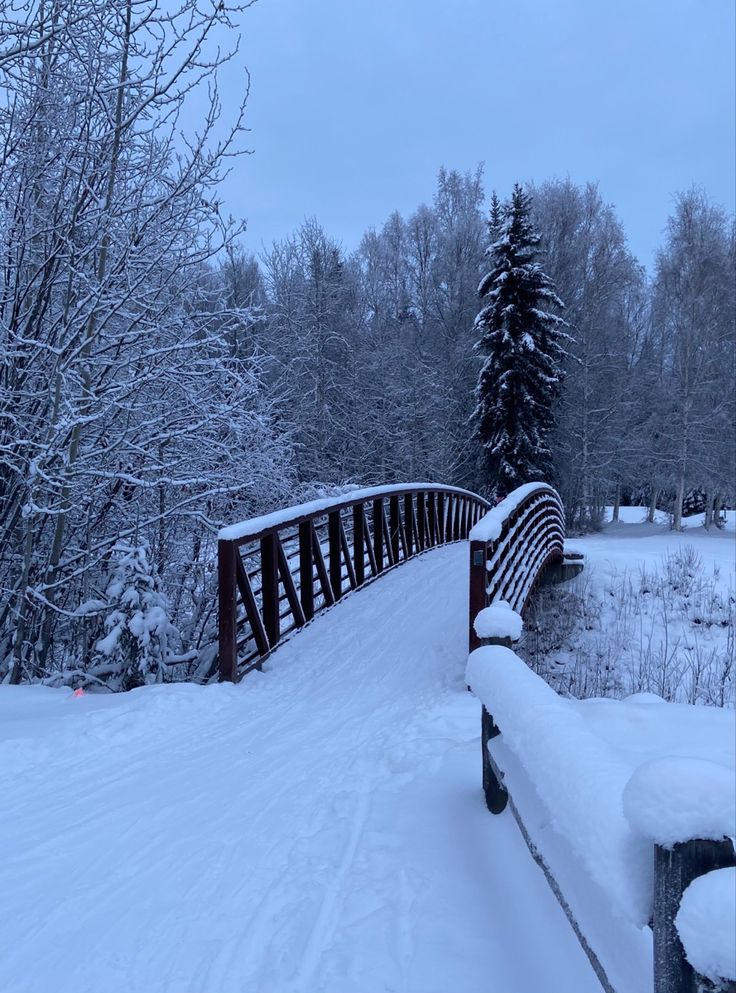 a bridge that is covered in snow next to trees