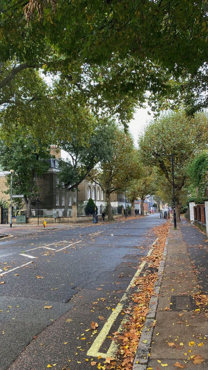 an empty street with trees and houses on both sides, in the fall or winter