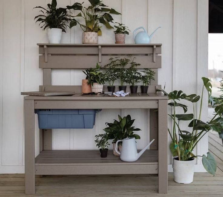 several potted plants are sitting on top of a shelf