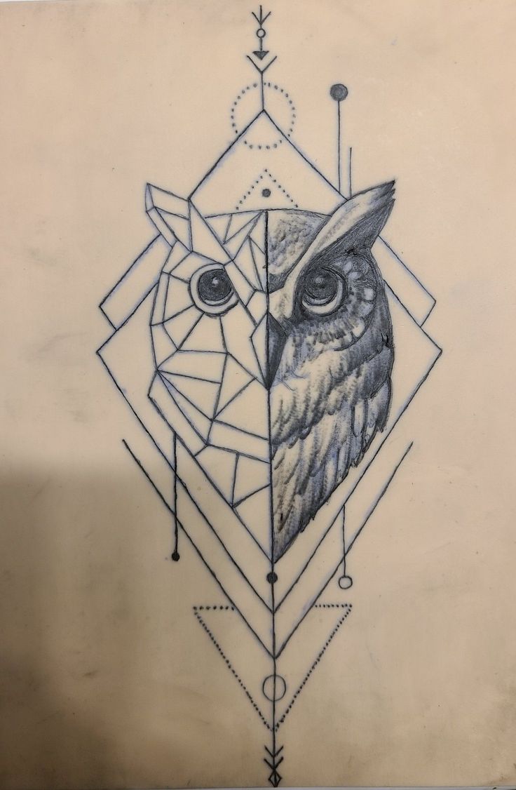 an owl's head is shown with geometric shapes