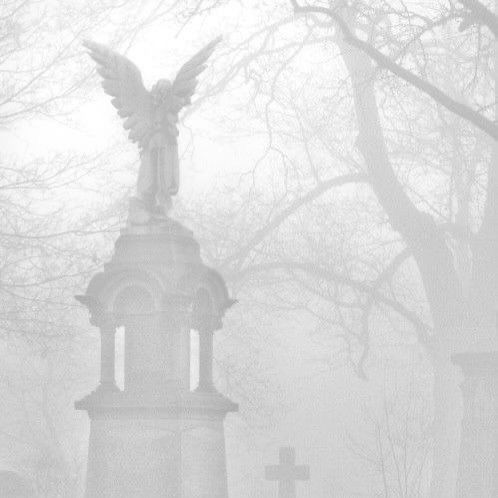 an angel statue in the middle of a cemetery