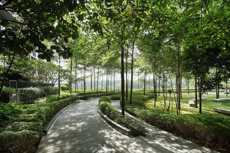 the walkway is surrounded by trees and grass