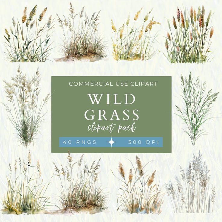 the wild grass clipart pack includes different types of plants and flowers, including grasses