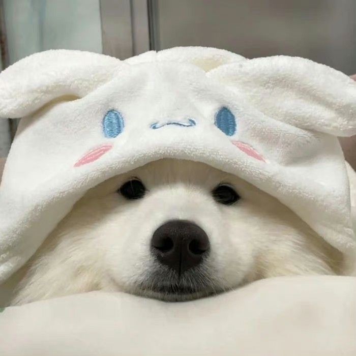 a white dog is wearing a towel with blue eyes and ears on it's head