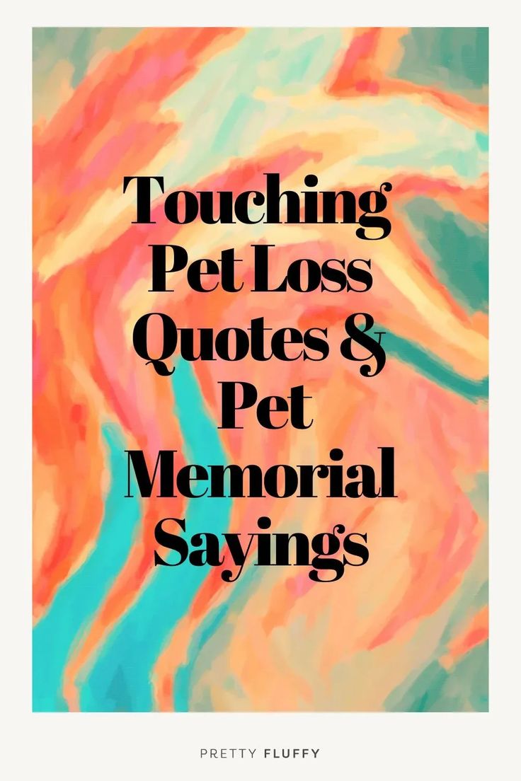 Missing Your Pet Quotes, Dog Rainbow Quotes, Dog Loss Sympathy Messages, Dog Memorial Quotes, Memorial Sayings, Losing A Dog Quotes, Pet Sympathy Quotes, Pet Quotes Cat, Losing A Pet Quotes