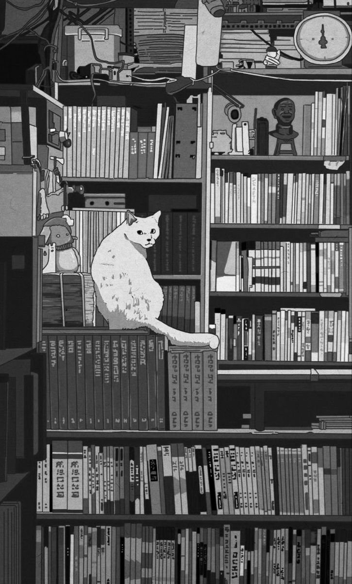 a black and white image of a cat sitting on top of a book shelf filled with books