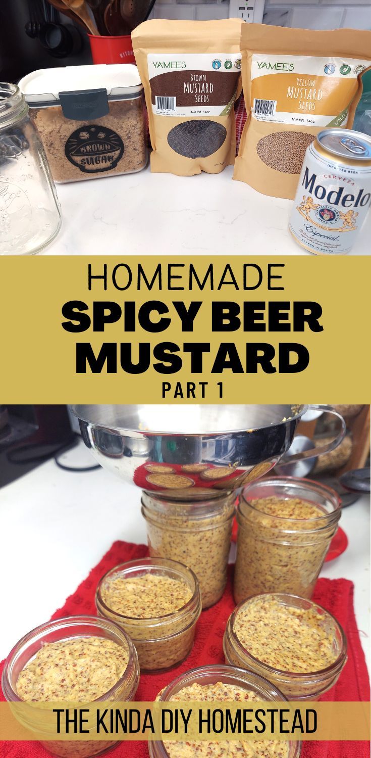 Homemade Spicy Beer Mustard - Part 1 Mustard Recipes For Canning, Spicy Brown Mustard Recipe, German Mustard Recipe, Brown Mustard Recipe, Home Made Mustard, Chinese Hot Mustard Recipe, Pepper Mustard Recipe, Beer Mustard Recipe, Mustard Recipes