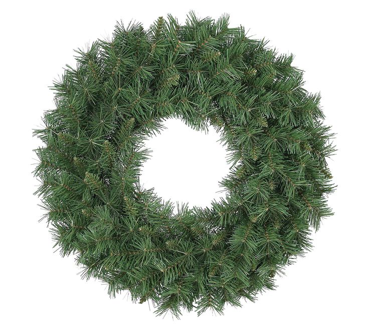 a pine wreath on a white background