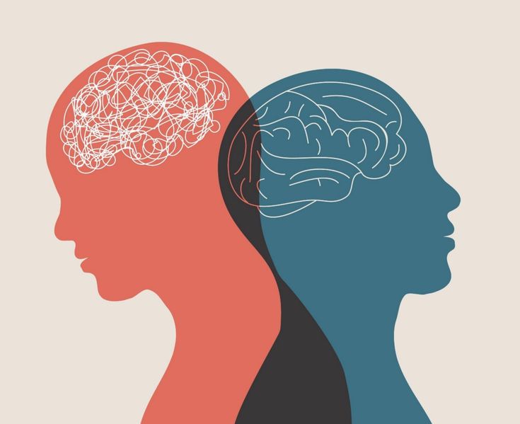 two people's heads are shown with different types of brain parts in the same area