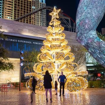 two people standing in front of a lit christmas tree at the entrance to a shopping mall