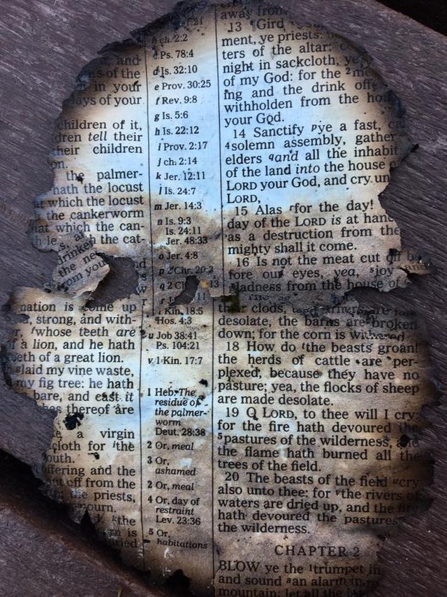 a piece of paper that has been torn in half and is sitting on top of a wooden