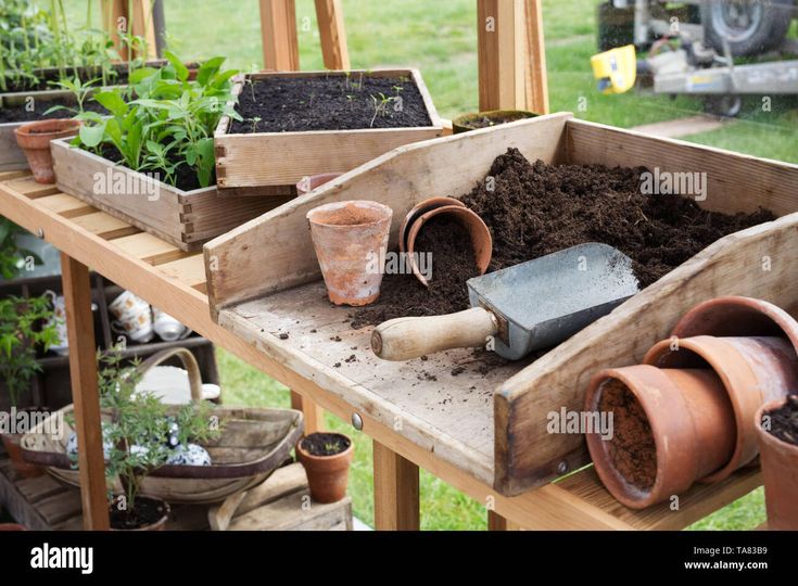 garden pots and gardening tools on a wooden shelf in a greenhouse with plants growing out of them