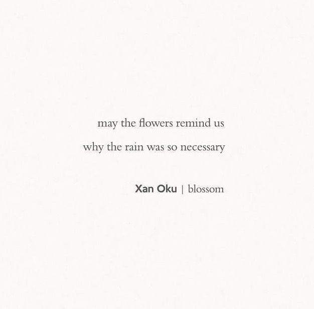 pinterestjociiiiiiiiiiii Xan Oku quote flower and rain quoteFlower FLOWERquotes jociiiiiiiiiiii Oku pinterest Quote Rain Xan Check more at s://flower.nasreddinhoca.org/pinterest-jociiiiiiiiiiii-xan-oku-quote-flower-and-rain-quote/ Buy Myself Flowers Quotes, Garden Love Quotes, Flowers Sayings Quotes, Give People Their Flowers Quotes, Caption About Flowers, Quotes About Flowers Inspirational, Buy Her Flowers Quotes, I Love Flowers Quotes, Flower Sayings Quotes