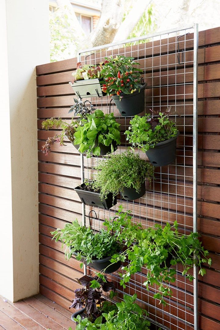 a vertical herb garden is mounted on a wooden wall with metal bars to hold plants