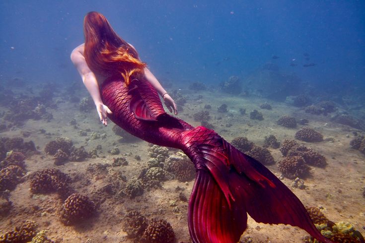 a mermaid is swimming in the ocean with her long hair blowing back and looking at the camera