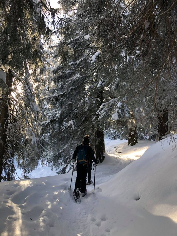 a person walking through the snow on skis