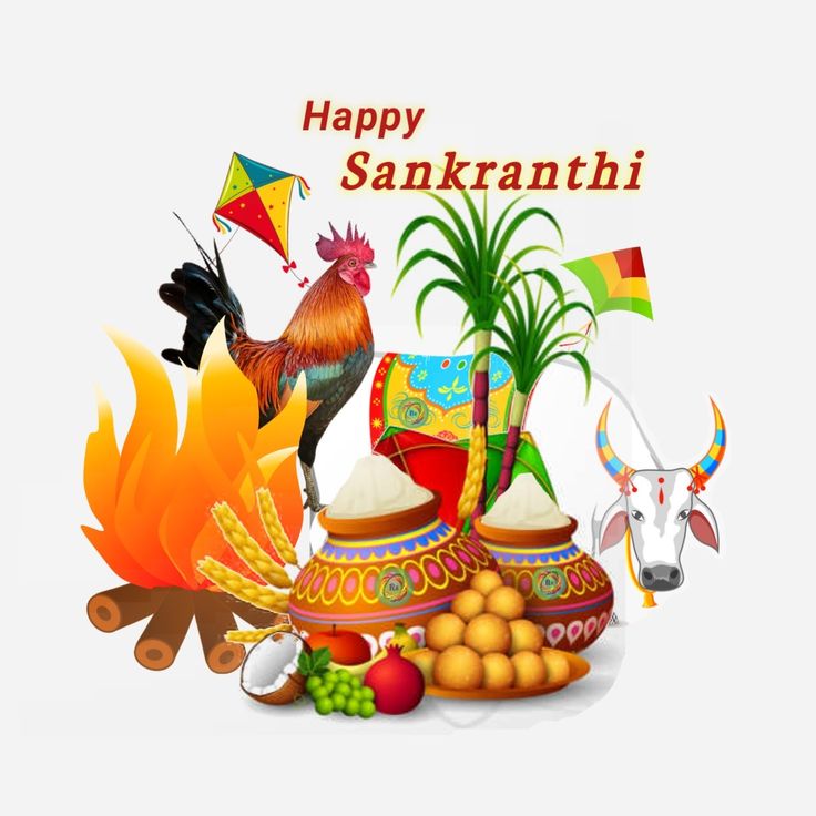 happy sankantahi greeting card with roosters and other foods on fire, decorated with colorful decorations