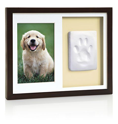 a dog's paw and handprint is shown in a shadow box with a white frame