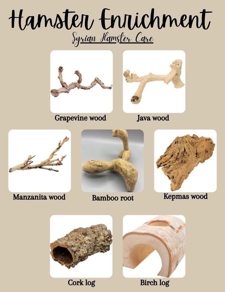 an info sheet with different types of wood and other things that are labeled in it