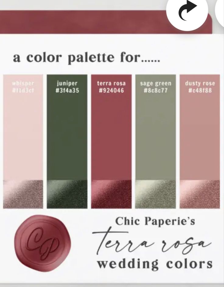 the color palette for chic paperie's terra rose wedding colors