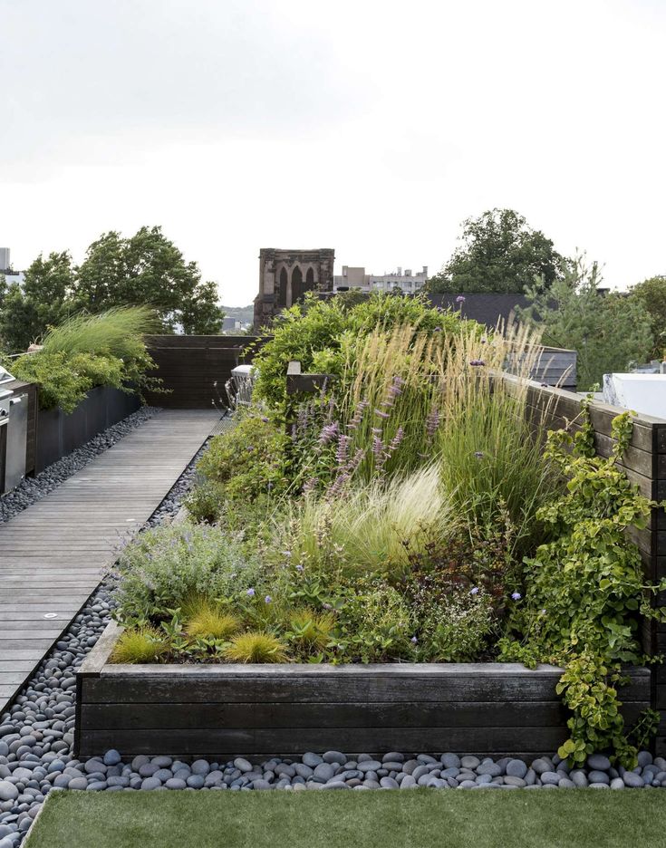 an outdoor garden with lots of plants and rocks on the ground next to a wooden walkway