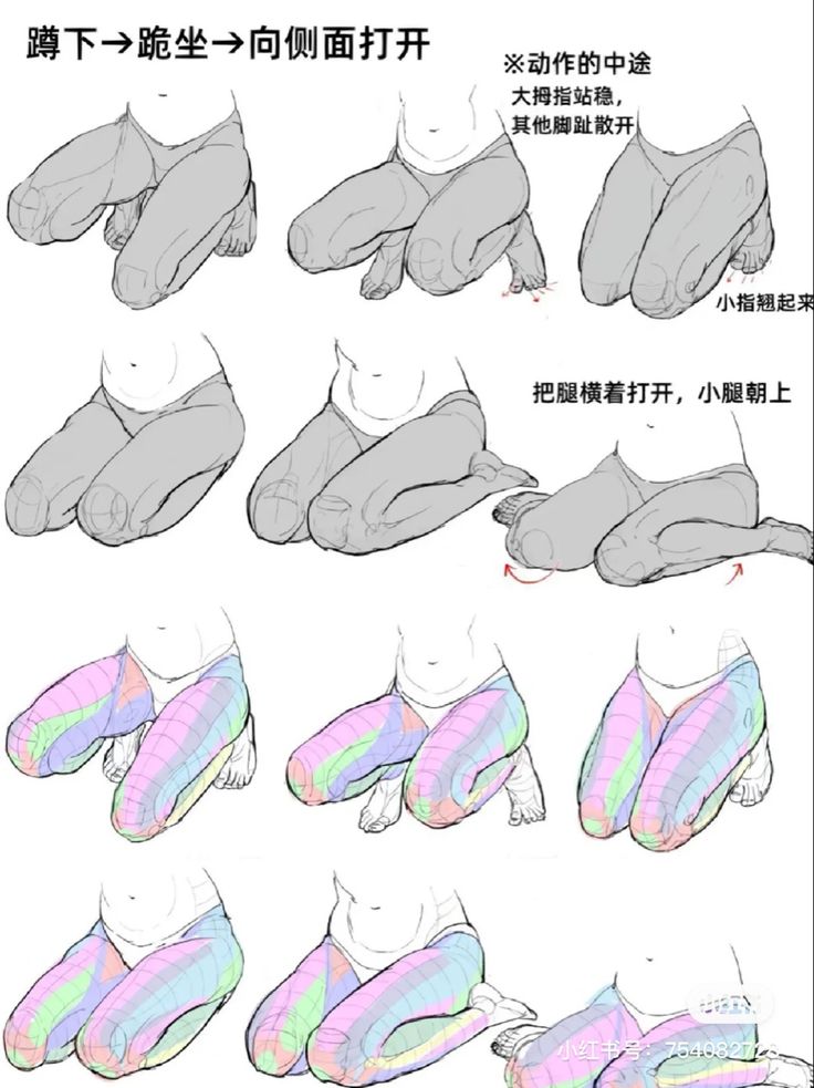 an image of different types of legs and feet