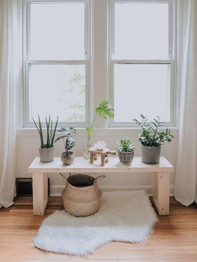 three potted plants sit on a table in front of two windows with white drapes