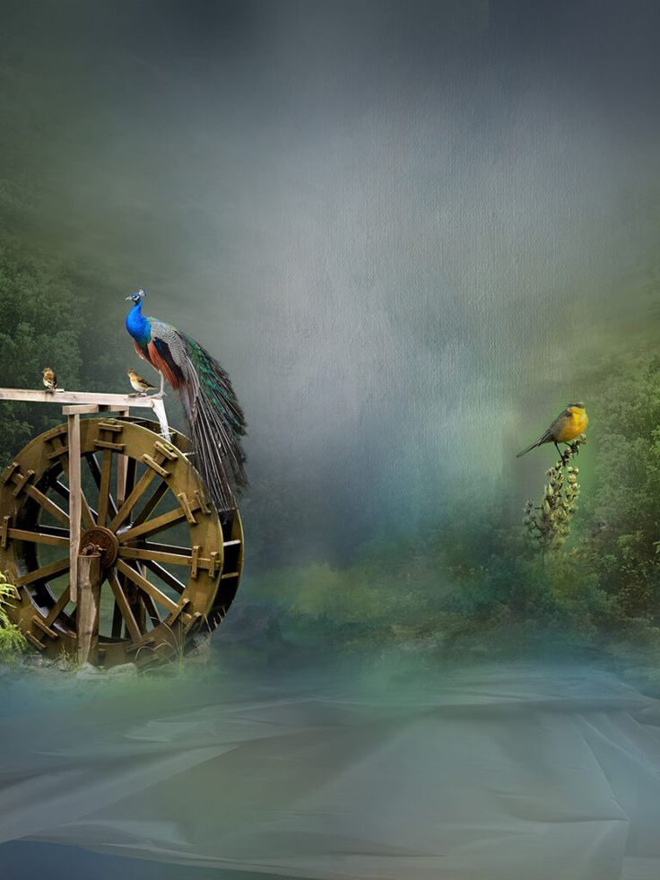 two birds sitting on top of a wooden wheel in the middle of a forest with water