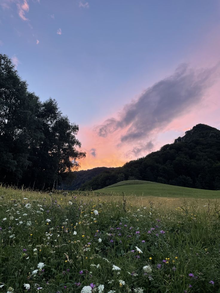 the sun is setting over a field with wildflowers and trees in the background