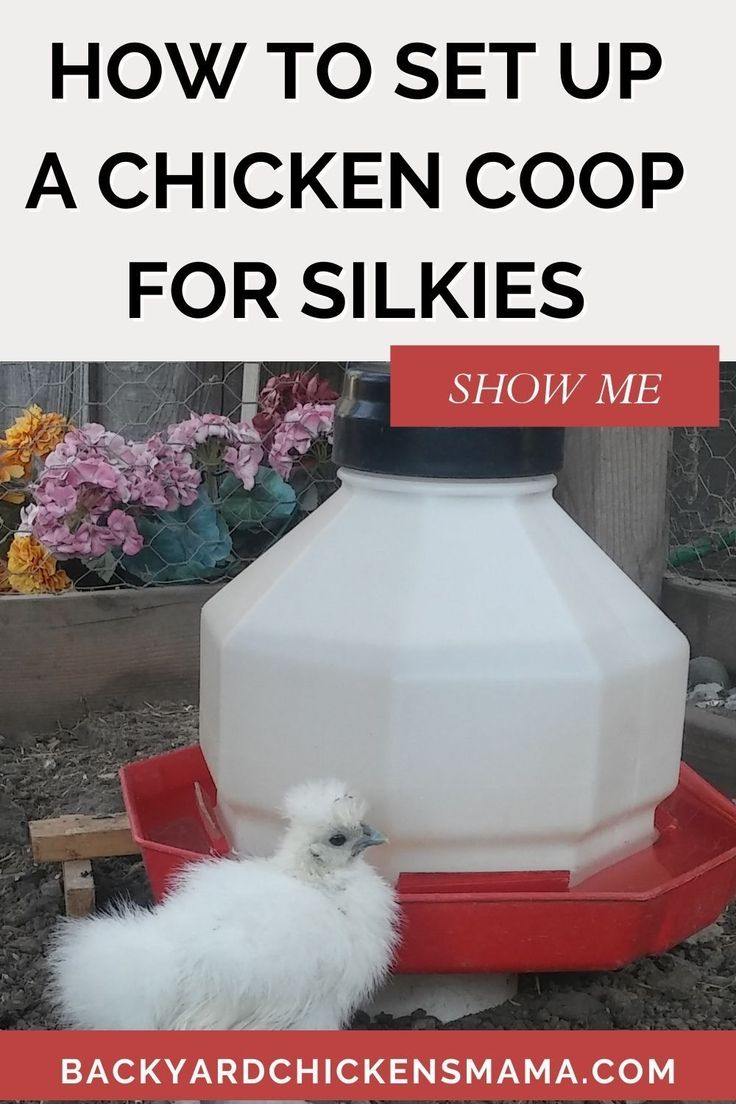 a chicken coop with the words how to set up a chicken coop for skies show me