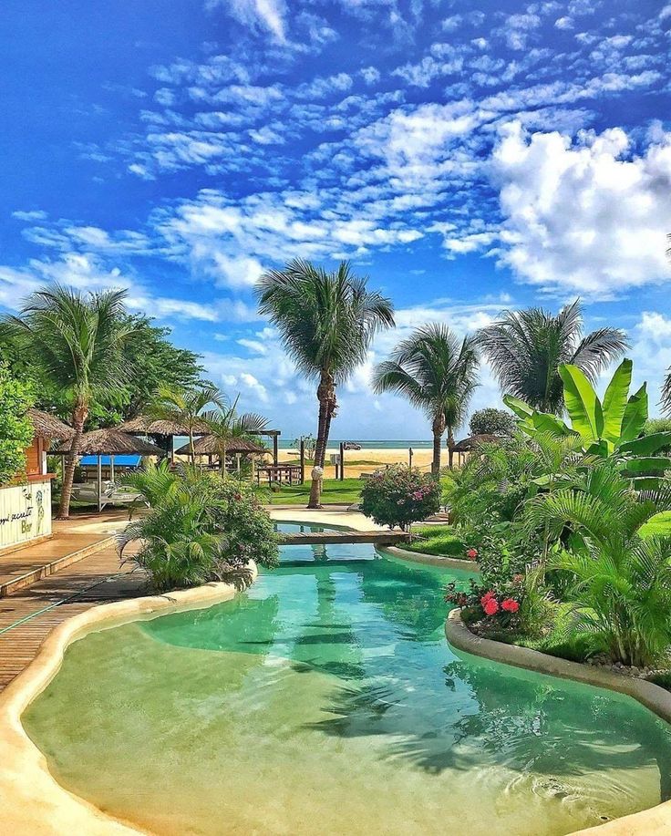 an empty swimming pool surrounded by palm trees and blue sky with clouds in the background